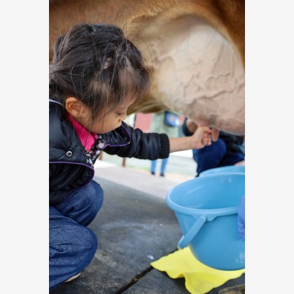 WithshopJapanが撮影した「:albumName」の写真