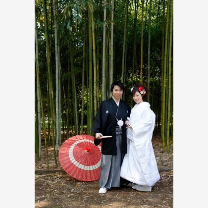 Photo of :albumName taken by Smilehunter