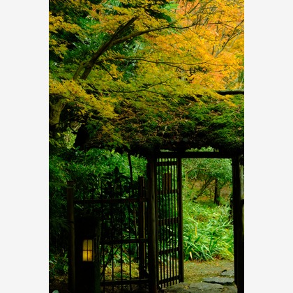 KotobukiPhotosが撮影した「:albumName」の写真