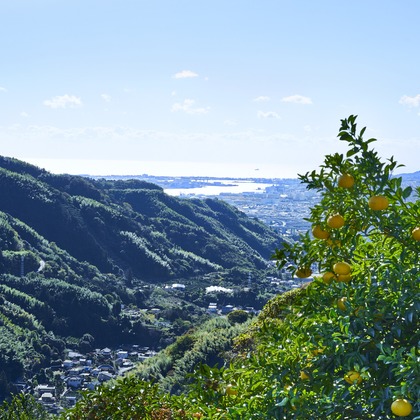 大橋裕紀が撮影したイベント/スナップ撮影/商品/物撮り/人物撮影の写真