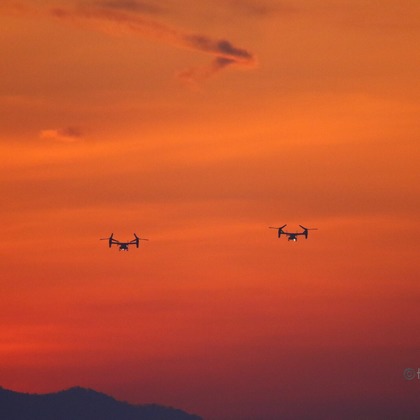 TATEZOUが撮影したその他/イベント/スナップ撮影の写真