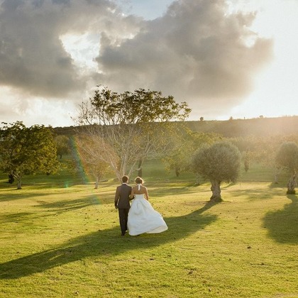 Motiejus Wedding Photographerが撮影したウェディングや家族、ビジネスの写真