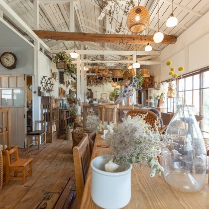 ミヤタカズコが撮影した「:albumName」の写真