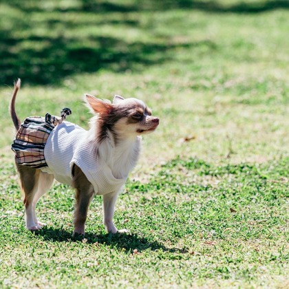 ポートレート沖縄が撮影した「:albumName」の写真