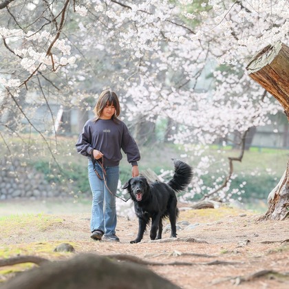 株式会社Neo-Smile 「locationbreeze」高橋 徹が出張撮影した「ペット」の家族写真