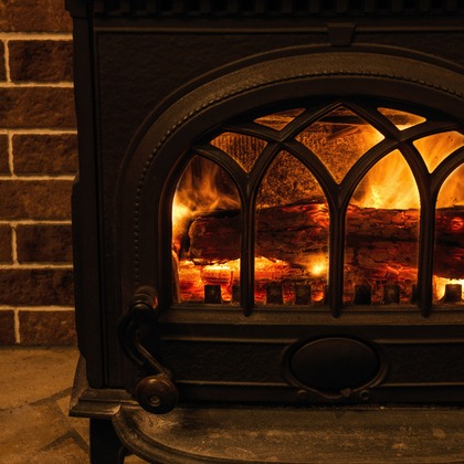 岡村公平が撮影したその他の写真