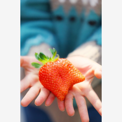 株式会社Neo-Smile 「locationbreeze」高橋 徹が撮影した「:albumName」の写真