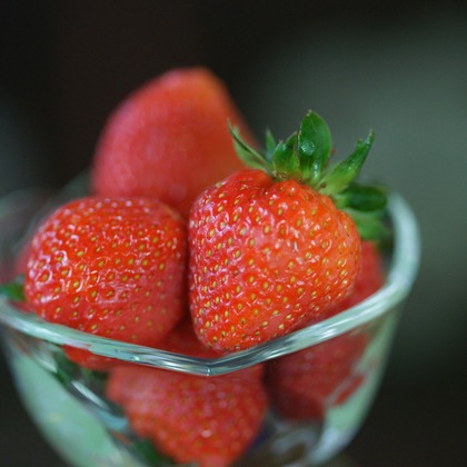 Kayo photo studio が撮影した商品/物撮りの写真