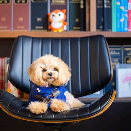 Tajimaが撮影した「ペット」の写真