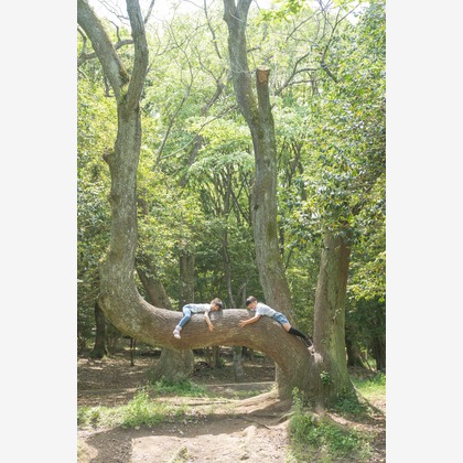 河村　賢が撮影した家族写真の出張撮影の写真