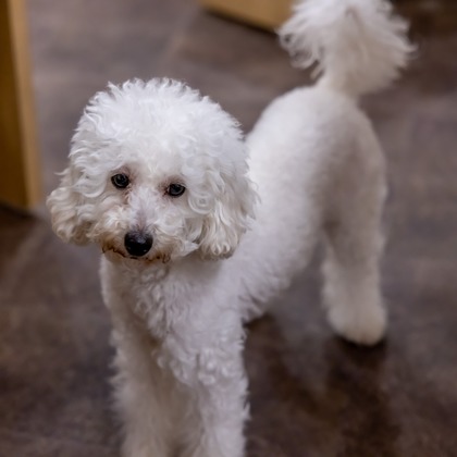 沖山俊樹が撮影した「:albumName」の写真