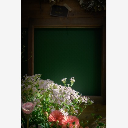 戸澤麻衣が撮影した「:albumName」の写真