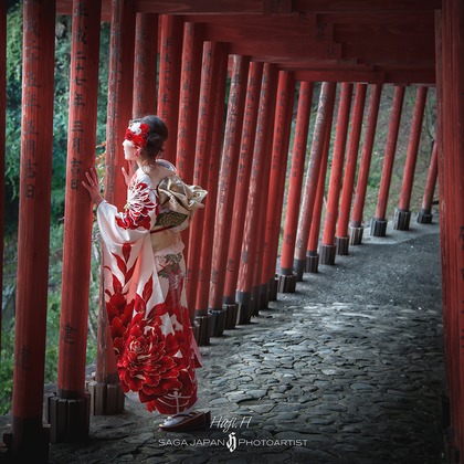 2525linkが撮影した「:albumName」の写真