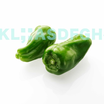 西原毅が撮影した料理撮影の写真