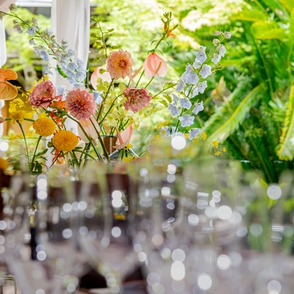 スタジオファンタスが撮影した「:albumName」の写真