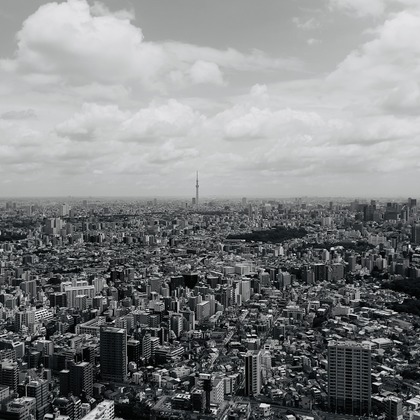 福井麻里が撮影した「:albumName」の写真