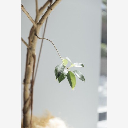 柴田和衣子が撮影したウェディングや家族、ビジネスの写真