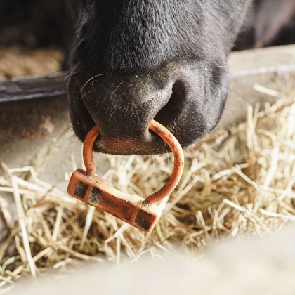 studio cactusが撮影した「:albumName」の写真