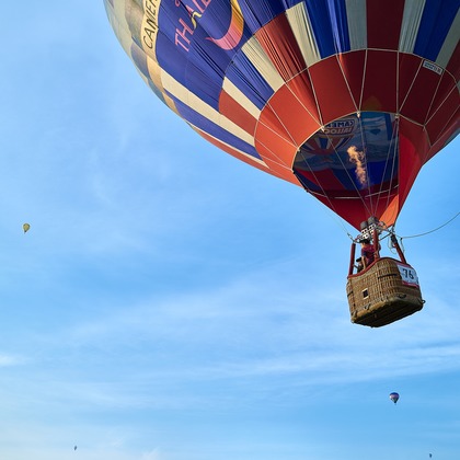 津田野 瑞希が撮影した「:albumName」の写真