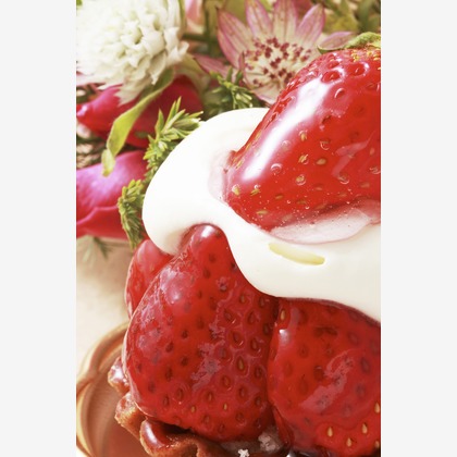 柳　あゆみが撮影した料理撮影の写真