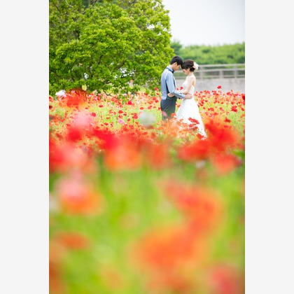 meganecco Photographyが撮影したウェディングや家族、ビジネスの写真