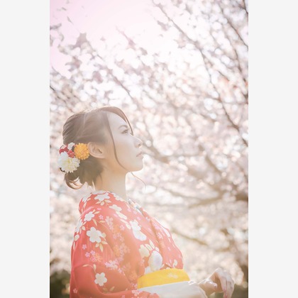 APKが出張撮影した柔道, Jujutsu, カンフーなどが写った「カジュアル着物で桜ロケーション撮影　2019年4月」の家族写真