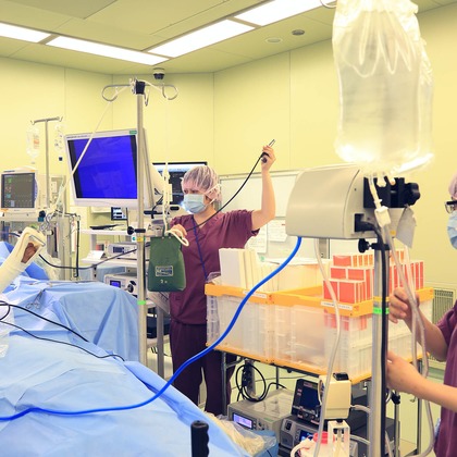 細川正人写真事務所が撮影した「:albumName」の写真