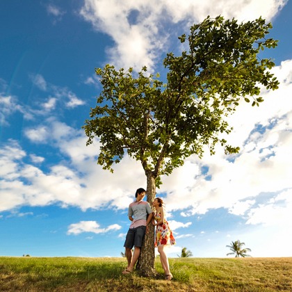 amp HAWAII WEDDING PHOTOGRAPHYが撮影したウェディングや家族、ビジネスの写真
