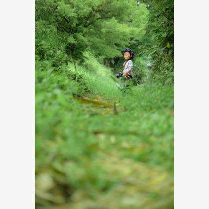 和Photographが撮影した「:albumName」の写真