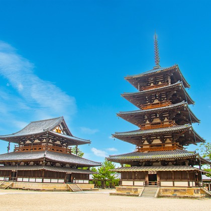 早川 陸が撮影したその他の写真