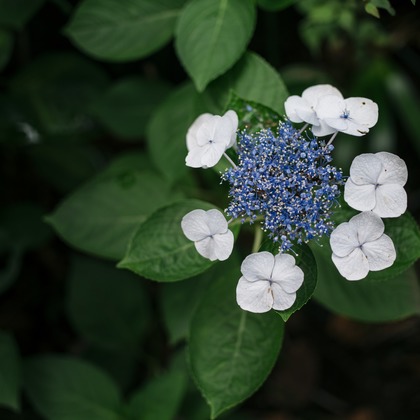 植村由理が撮影したウェディングや家族、ビジネスの写真