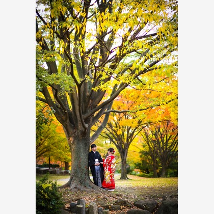 加倉井 規晃が撮影した「:albumName」の写真