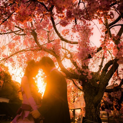 阿部写真館　大阪本町 靭公園前が撮影した「:albumName」の写真