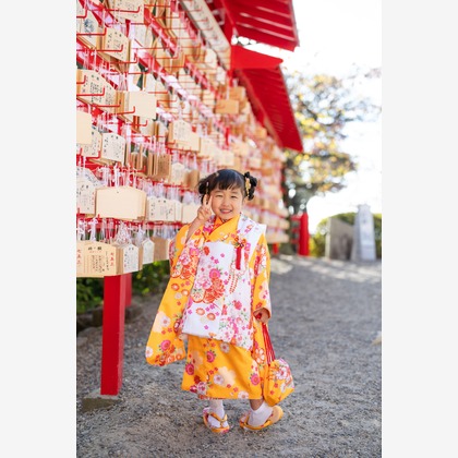 クリエイティブツリーが撮影した「:albumName」の写真