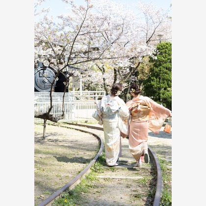 とうのまる制作室が撮影したその他の写真