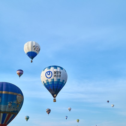 津田野 瑞希が撮影した「:albumName」の写真