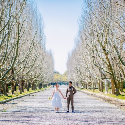 Tomi Photo Studioが撮影した「:albumName」の写真