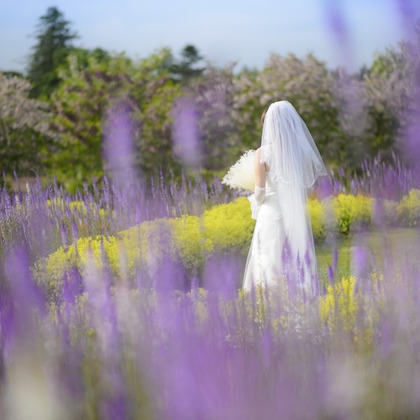 Photo of :albumName taken by C.RELATIONS