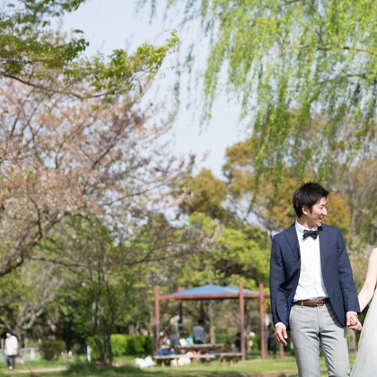 高野和希が撮影した「:albumName」の写真