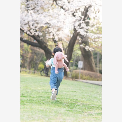 KOMACH Photo Designが撮影した「:albumName」の写真
