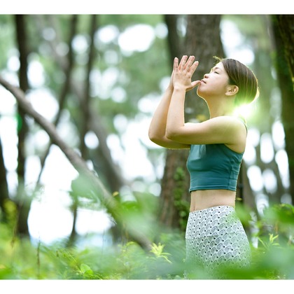 正太郎が撮影した「:albumName」の写真