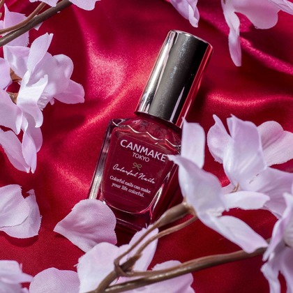 写真屋ごんちゃんが撮影した「:albumName」の写真