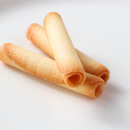 手塚大介が撮影した「:albumName」の写真