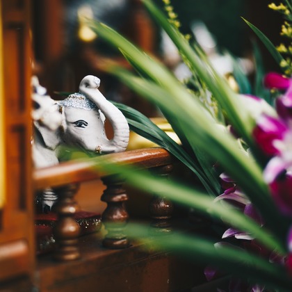 Photo of :albumName taken by Layla Shibukawa Photography