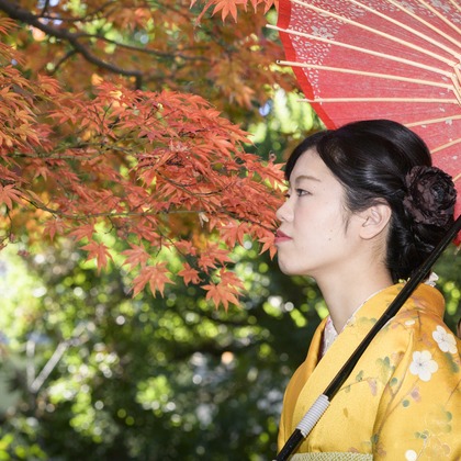 A&Y写真OFFICEが撮影したその他の写真