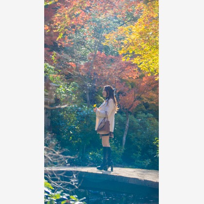 小川大輝が撮影した「:albumName」の写真