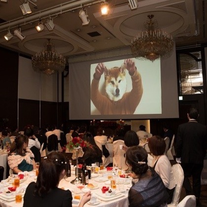 Wedding, Bridal Photos taken by 踊るカメラマンAKIRA