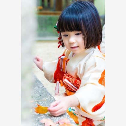 田中愛実が撮影した「:albumName」の写真