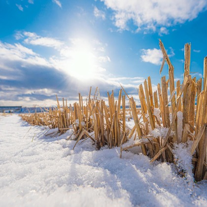高木勇斗が撮影した「:albumName」の写真