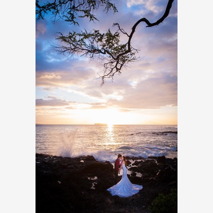 Photo of :albumName taken by Willow Photo